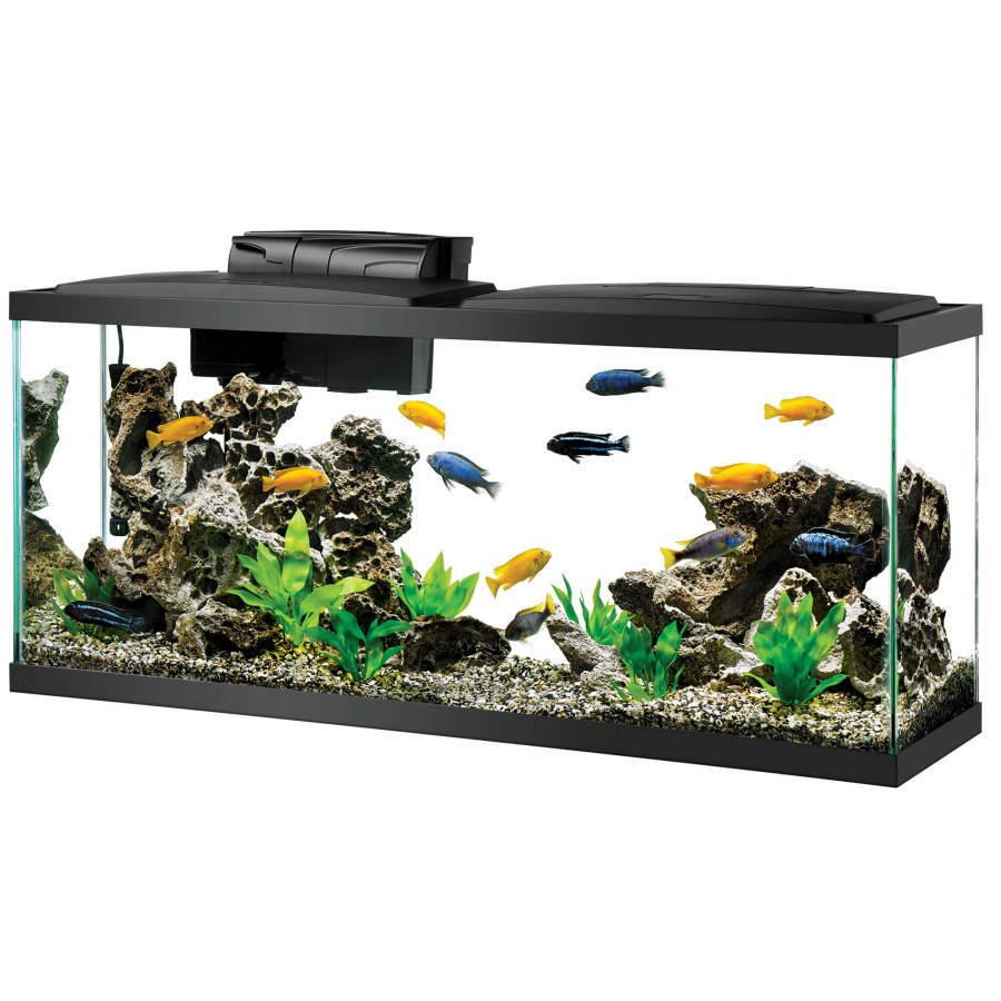Aqueon Glass Aquarium Fish Tank Starter Kit with LED Lighting