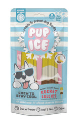 SPOT Pup Ice- Ready to Freeze at Home Dog Treats-Edible Chews for Medium Breed Dogs & Puppies