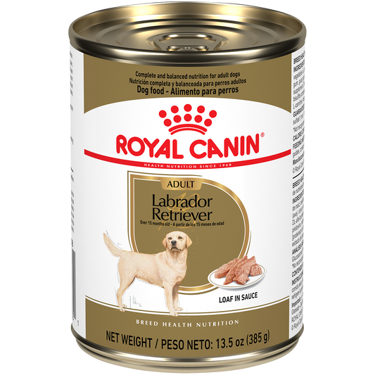 Royal Canin® Breed Health Nutrition® Labrador Retriever Adult Loaf in Sauce Dog Food, 13.5 oz
