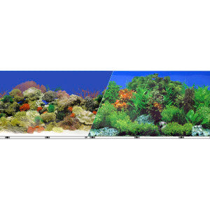 Blue Ribbon Pet Products Vibran-Sea Double Sided Background