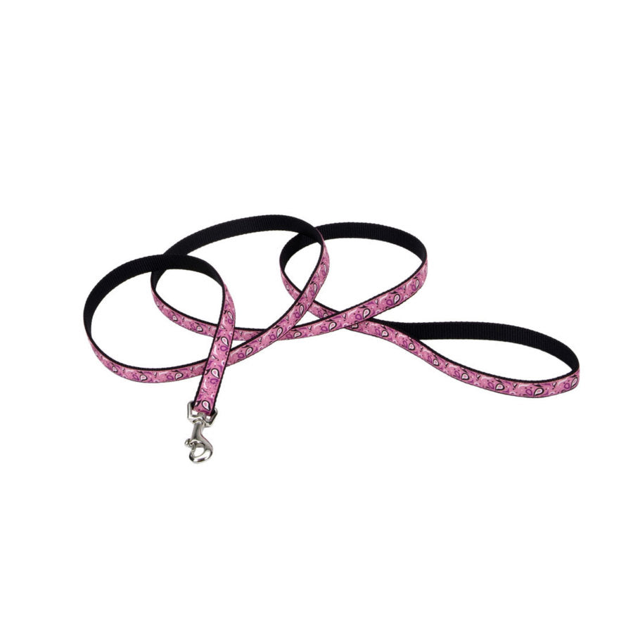 Coastal Pet Ribbon Dog Leash - Contemporary Stylish Look - Durable Fade-Resistant Nylon Material - Perfect for Dogs, 5/8" x 06'