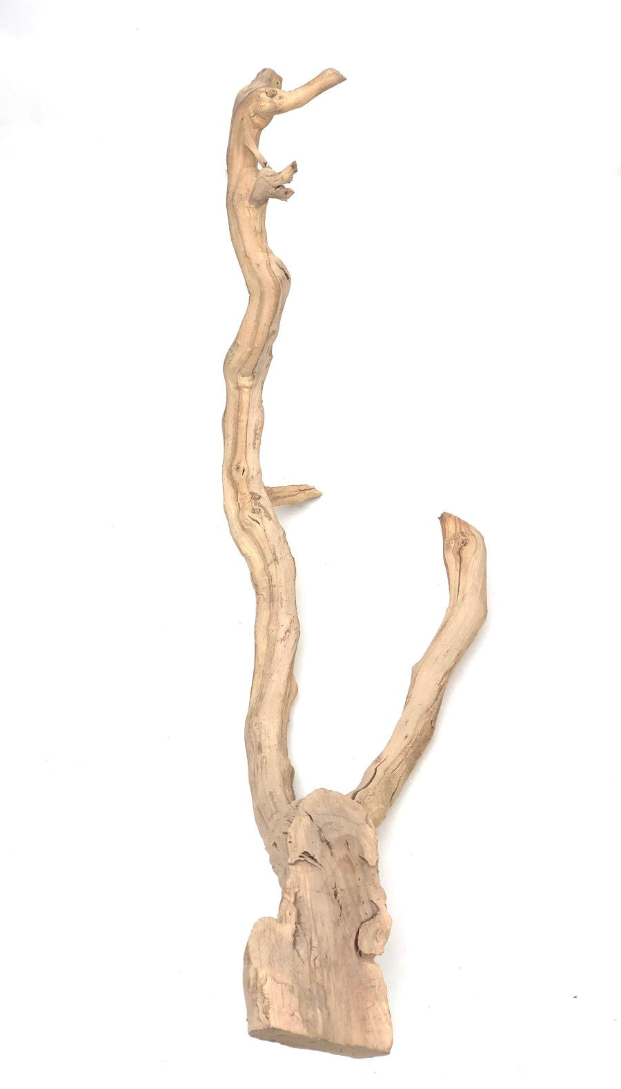 Sublime Vines : Sandblasted Grapevine Decor