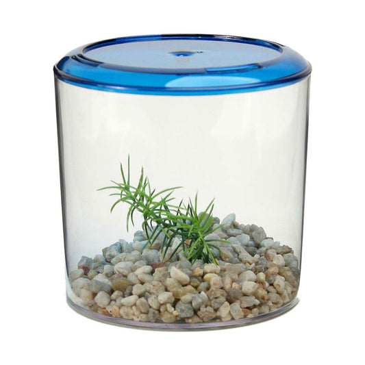 Lee's® Round Betta Keeper® for Fish 5.5 Inch Dia