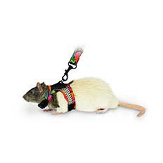 Kaytee® Comfort Harness & Stretchy Leash for Small Animal Assorted Color Small