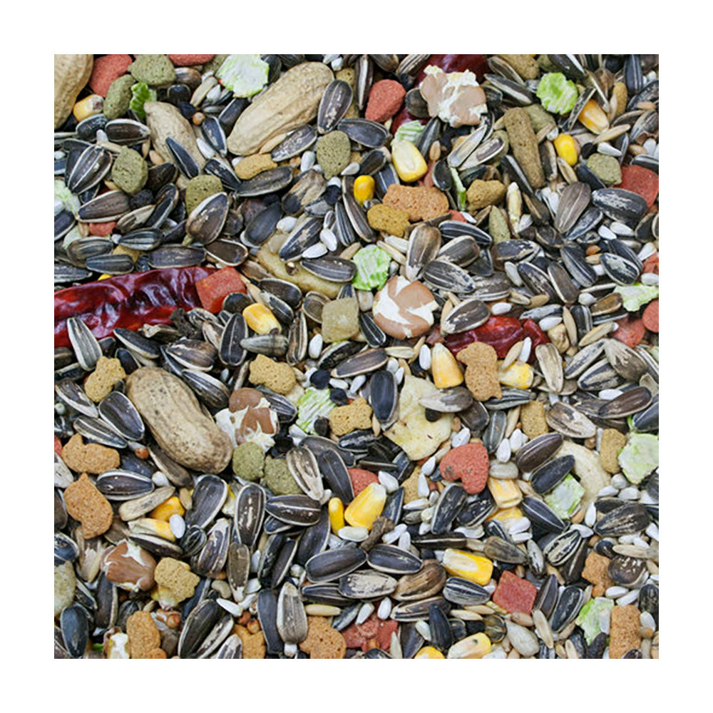 Higgins® Vita Seed® Parrots Natural Seed Blend 25 Lbs