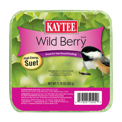 Kaytee® Wild Berry Suet Wild Bird Food 11.75 Oz