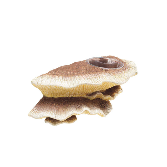 Zilla® Mushroom Feeding Ledge Vertical Décor 9.5 X 5 X 4.875 Inch
