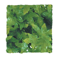 Zoo Med Laboratories Natural Bush™ Congo Ivy Plants for Reptiles Small 14"