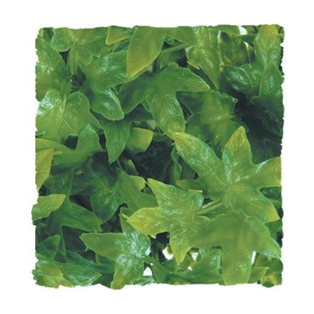 Zoo Med Laboratories Natural Bush™ Congo Ivy Plants for Reptiles Large 22 "