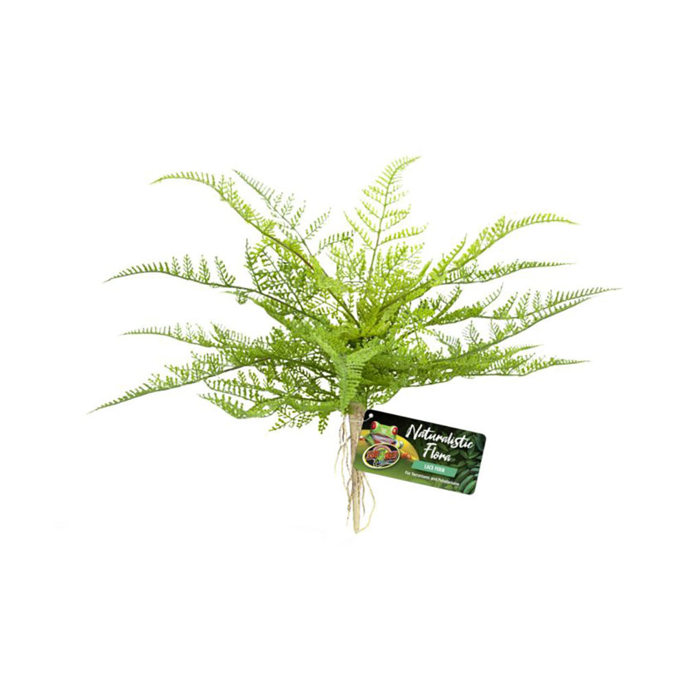 Zoo Med Naturalistic Flora® Lace Fern