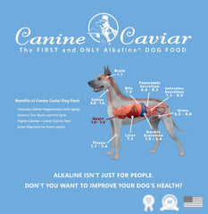 Canine Caviar Special Needs Alkaline Holistic Entree Dry Dog Food