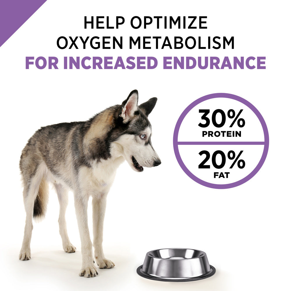 Purina Pro Plan Sport All Life Stages Performance 30/20 Salmon & Rice Formula Dry Dog Food