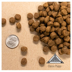 Fromm Classics Puppy Recipe Dry Dog Food