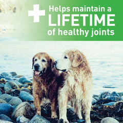 Greenies Aging Care Regular Size Dental Care Dog Treats