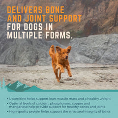 Natural Balance On the Move Chicken Formula Wet Dog Food
