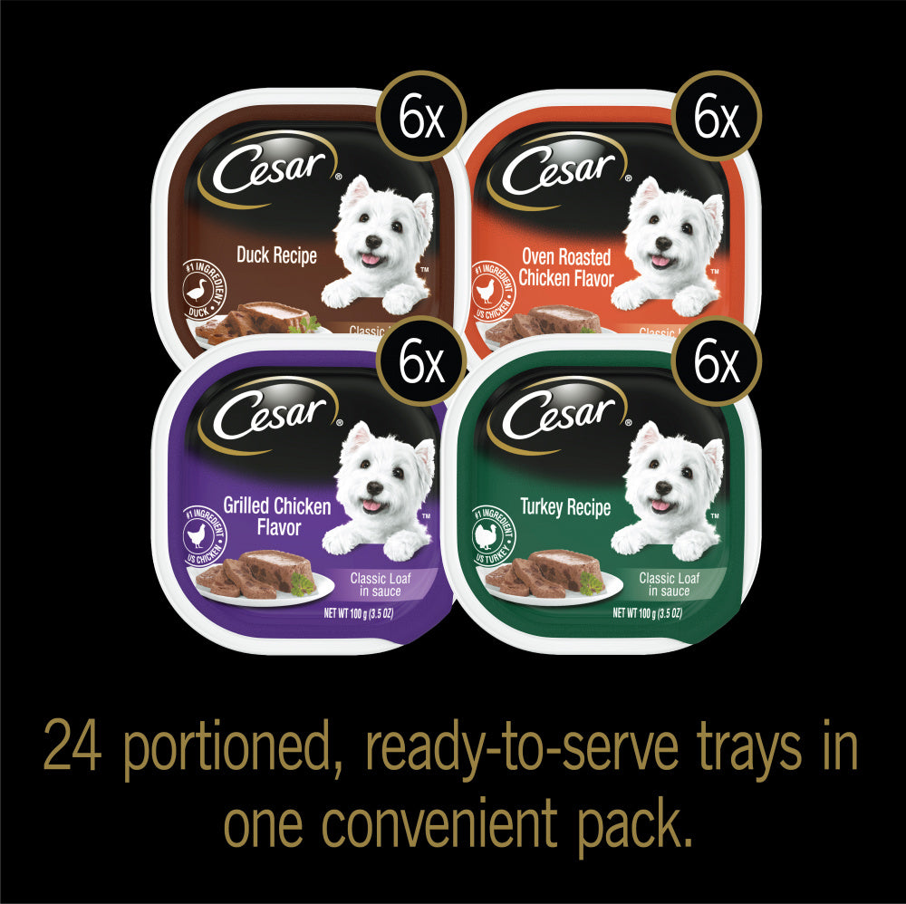 Cesar Soft Classic Loaf In Sauce Poultry With Real Chicken, Turkey Or Duck Wet Dog Food Variety Pack