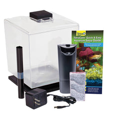 GloFish Aquarium Kit