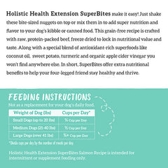 Health Extension SuperBites Freeze-Dried Meal Mixer Salmon