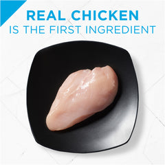 Purina Pro Plan Focus Grain-Free Classic Chicken Entree Wet Puppy Food
