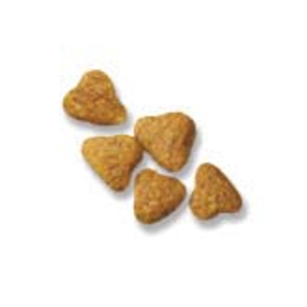 Purina Pro Plan Small Bites Lamb & Rice Formula High Protein, High Energy Dry Dog Food