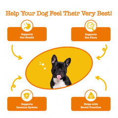 Zesty Paws Probiotic Bites Soft Chews Digestive Probiotics for Gut Flora & Immune Support Functional Chicken Flavor Dog Supplement