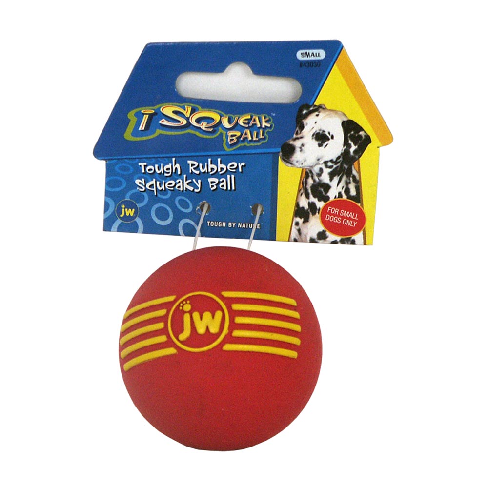 JW® iSqueak® Ball Dog Toy Assorted Color Small