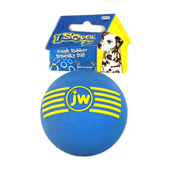 JW® iSqueak® Ball Dog Toy Assorted Color Medium