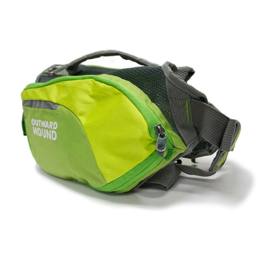 Outward Hound® Daypak Dog Backpack Green Color Medium