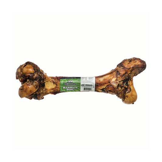 Redbarn® Beef Mammoth Bone Chewy Dog Treats 14-16 Inch