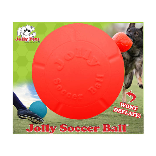 Jolly Pets® Jolly Soccer Ball Dog Toy Small 6 In Orange
