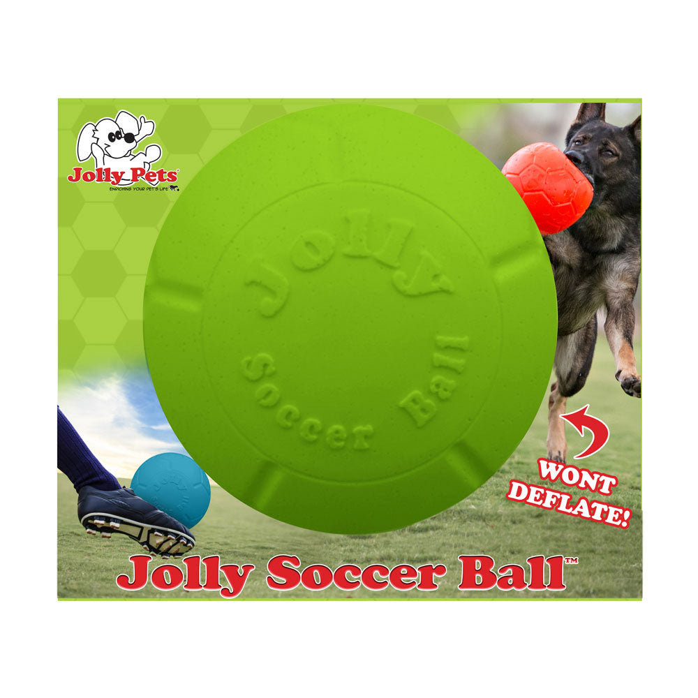 Jolly Pets® Jolly Soccer Ball Dog Toy Small 6 In Green