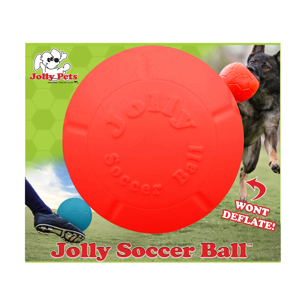 Jolly Pets® Jolly Soccer Ball Dog Toy Large 8 In Orange