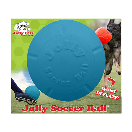 Jolly Pets® Jolly Soccer Ball Dog Toy Large 8 In Ocean Blue