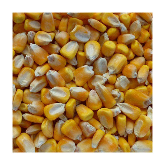 Modesto Milling® Organic Corn Cracked Poultry Food 50 Lbs