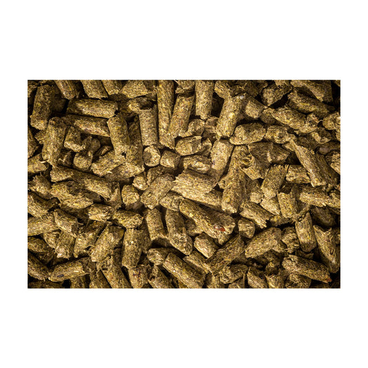 Modesto Milling Organic Senior Horse Pellet 25 Lbs