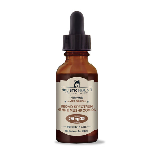 Holistic Hound® Mighty Mojo Water Soluble Broad Spectrrum Hemp and Mushroom Oil 250mg for Cats & Dogs 1 Oz