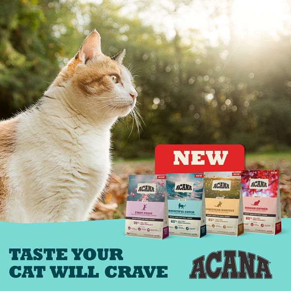 Acana Homestead Harvest High Protein Adult Cat Food
