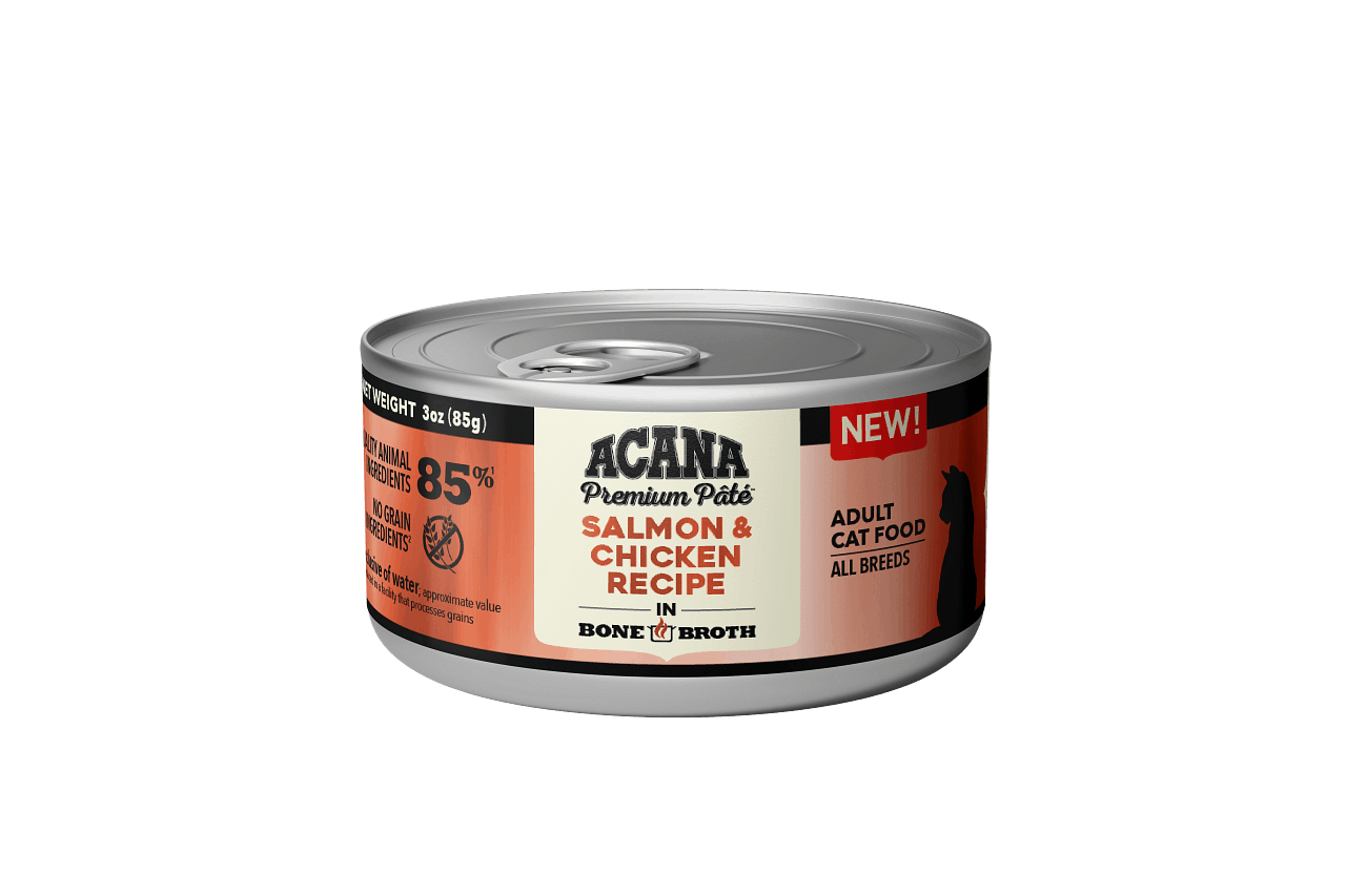 ACANA Premium Pate Wet Cat Food Salmon & Chicken Recipe Front.