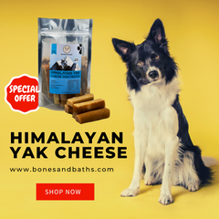 Big Dog Pet Supply Himalayan Yak Cheese Dog Treat-Small