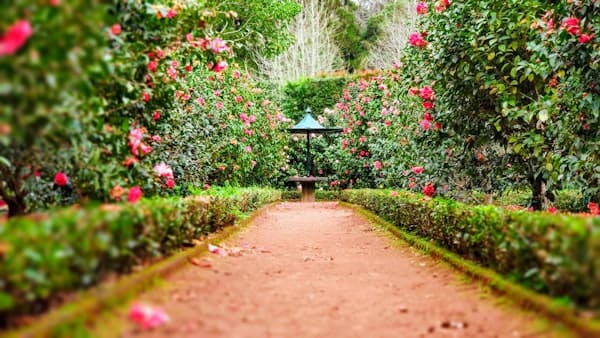 Shop home, garden and outdoor essentials